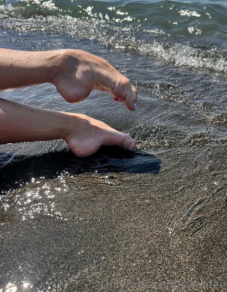 swanfee star pretty photo