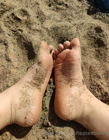 teaseebunny top pornstar photos