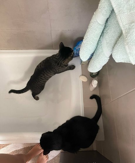 ellamontoya4u model best pic