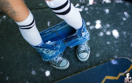 Cheshire_ high quality model archive