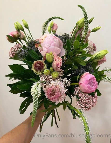 blushingblooms pretty star pictures