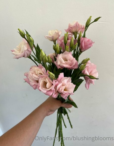 blushingblooms star perfect gallery