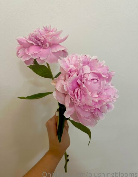 blushingblooms adult actress image