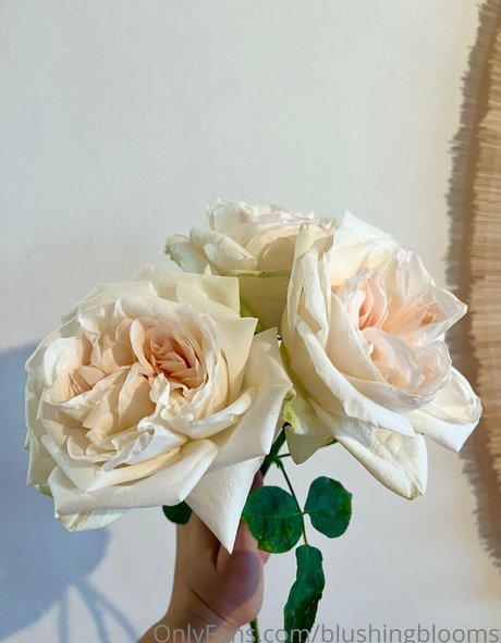 blushingblooms star nude photos