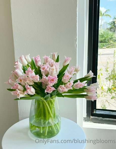 blushingblooms profile pic