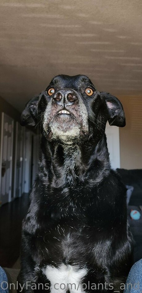 plants and piercings star hot photo