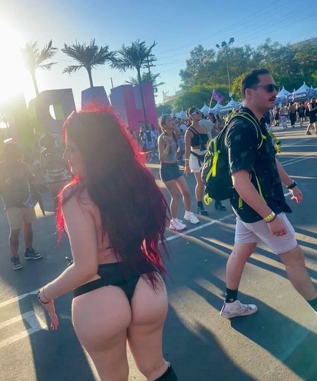 mamibree star art archive