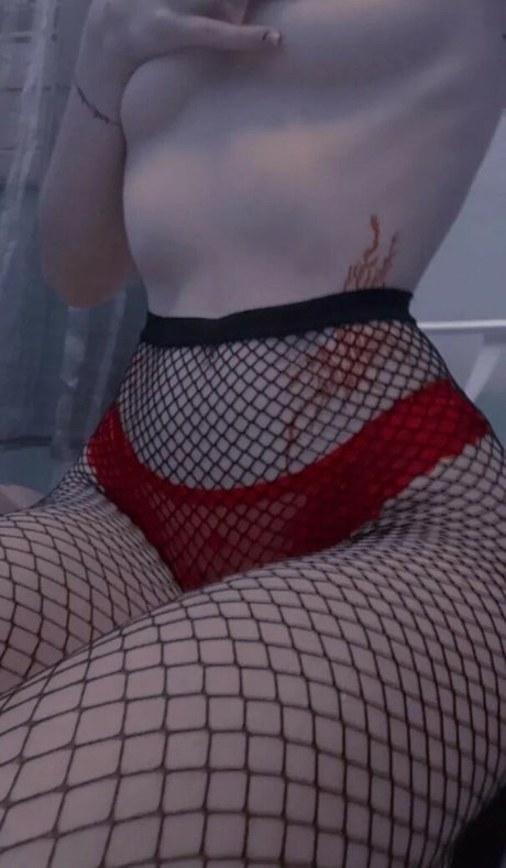 punk doberman star nice pictures