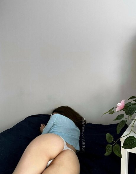 lili torn adult actress photos