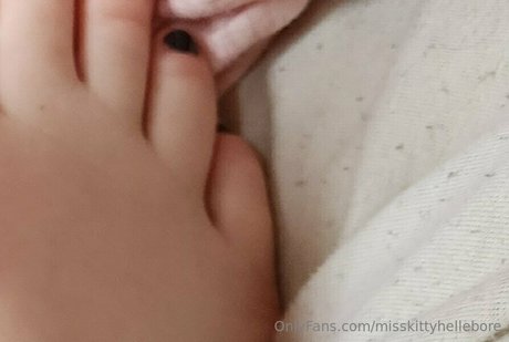 misskittyhellebore perfect star images