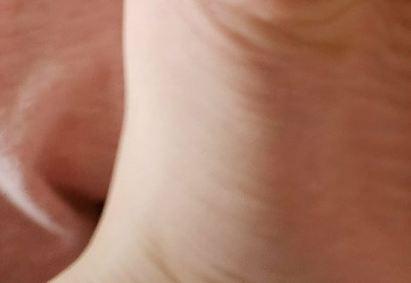 misskittyhellebore pretty star photo