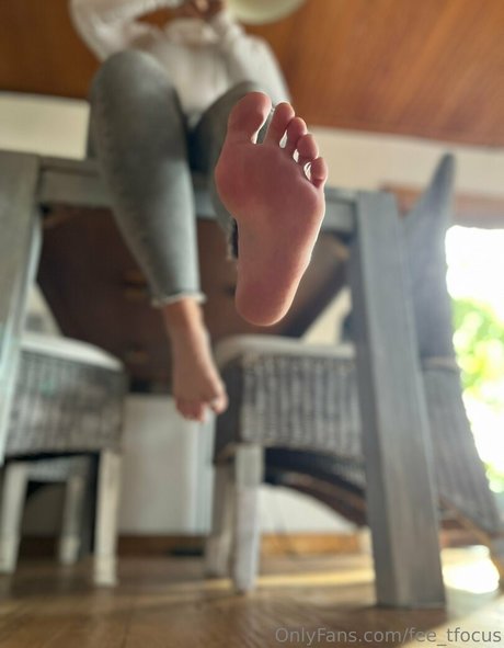 fee tfocus actress archive