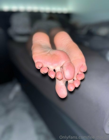 fee tfocus high quality star gallery