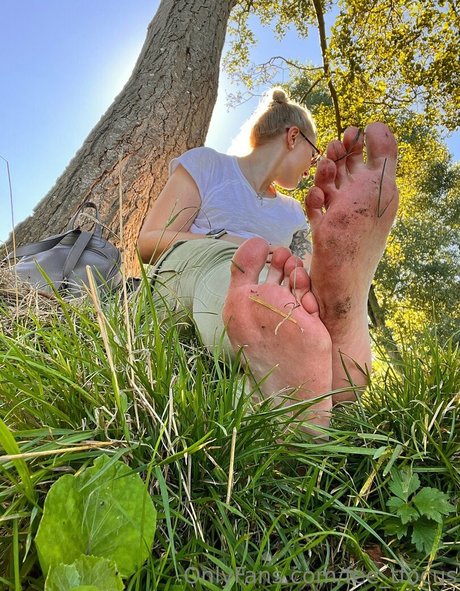 fee tfocus star perfect pictures