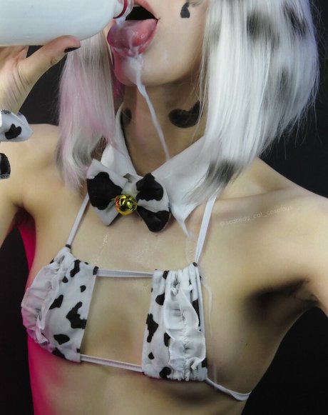 Scaredy Cat Cosplays pornographic actress image