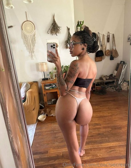 Juice Box Bri best star galleries