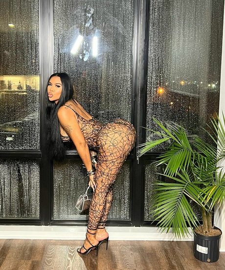 Chinesekitty star art gallery