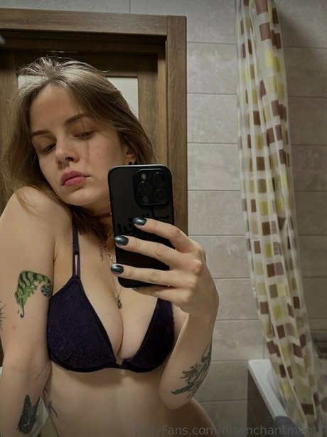 disenchantment model top img