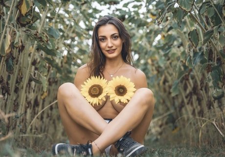 Bambizilla nice model img