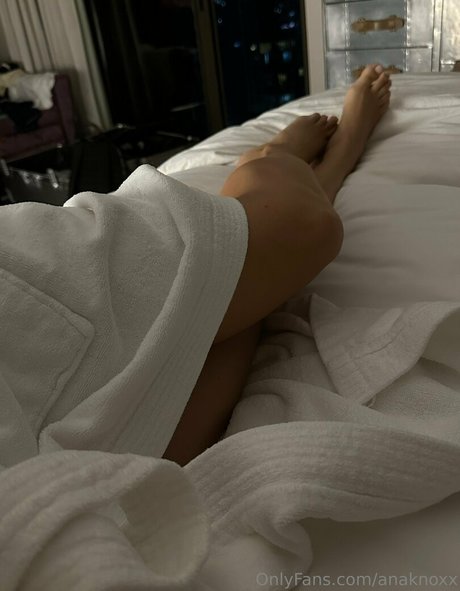 anaknoxx art star galleries