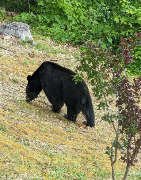 Fallon Jane model erotic galleries