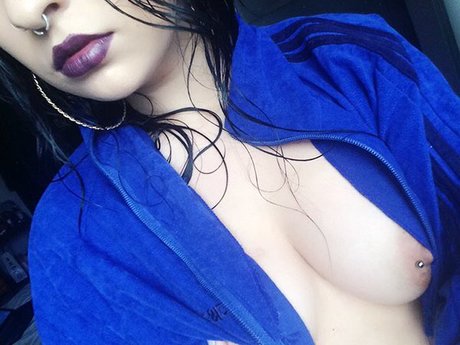 Pinustri model top picture