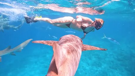 Manyazzzz pretty star archive