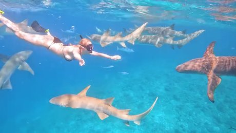 Manyazzzz pornstar nice gallery