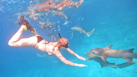 Manyazzzz hd star archive