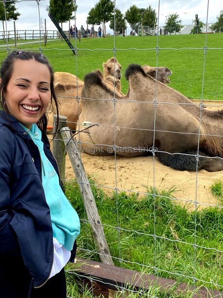 Freepetitebrida hd star archive