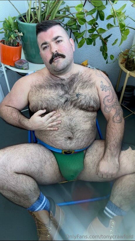 Tonycrawford beautiful star image