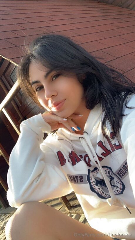 Tinylorena model top pic