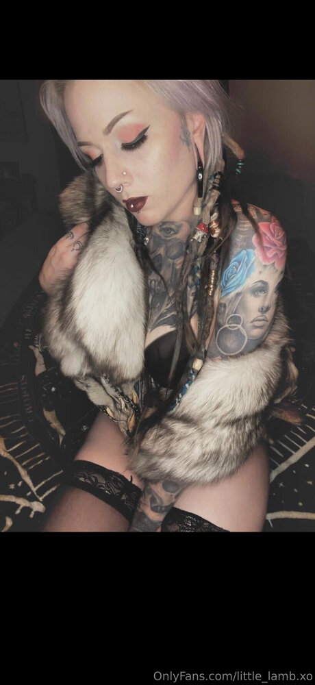 Little Lamb Xo star free archive