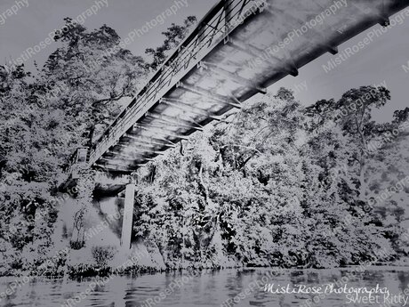 Sweetkitty777 exclusive star pics