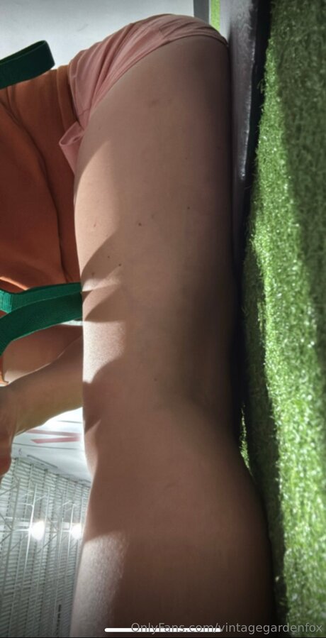 Vintagegardenfox model beautiful image