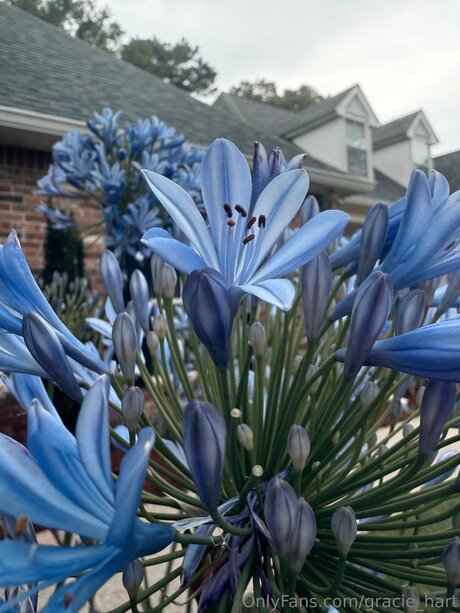 Gracie Hart exclusive pornstar photo