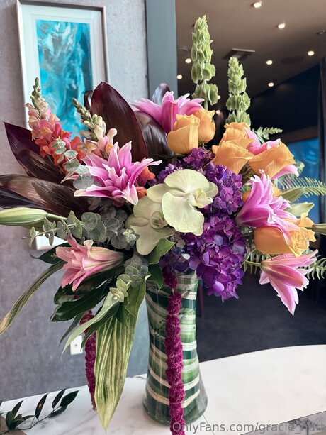 Gracie Hart pornstar sex gallery