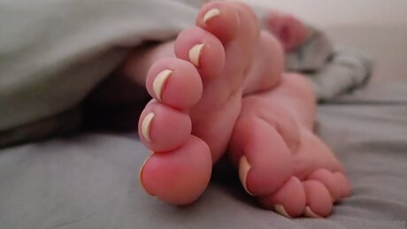 Tally Awesome best star pictures