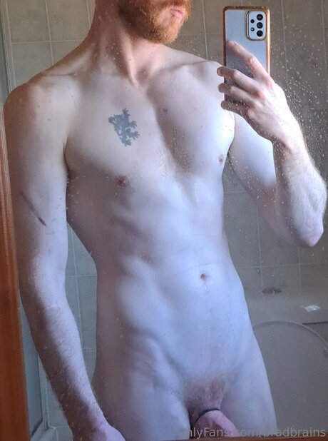 Bradbrains model archive