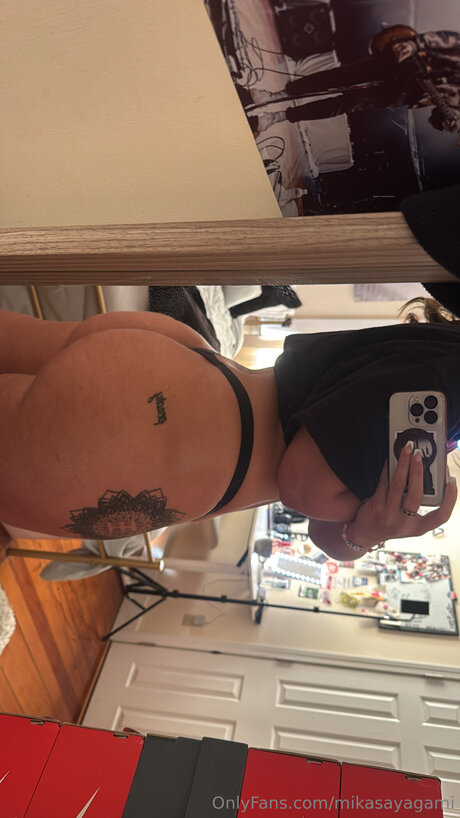 Mikasayagami star top gallery