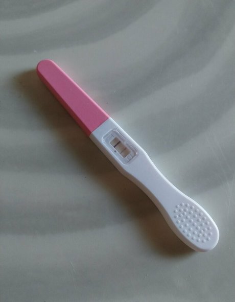 softchili star hot galleries