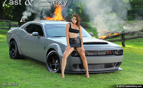 fastandsexy pornstar art images