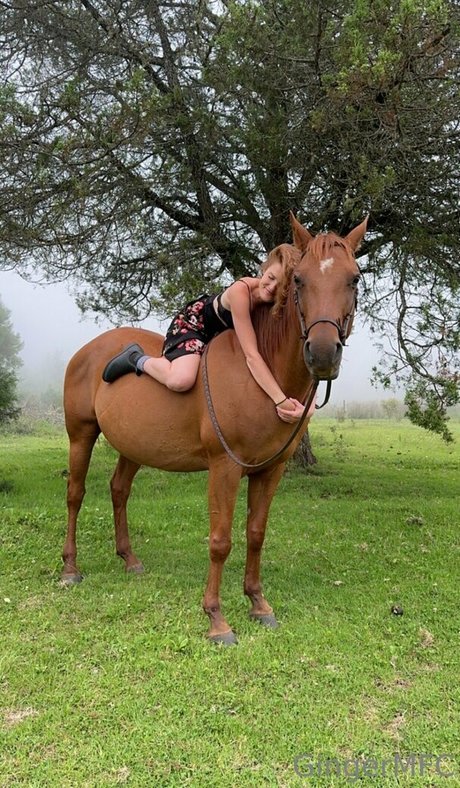 gingermfc xxx actress archive