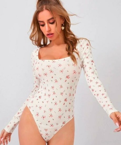 gingermfc model top img