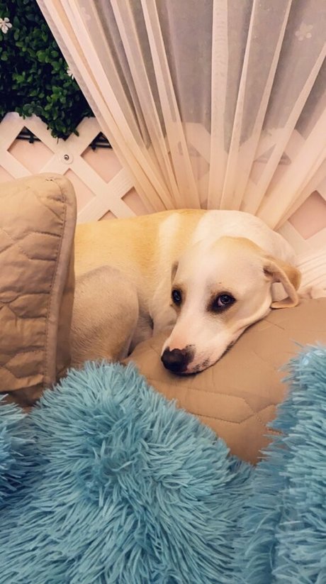 gingermfc pornstar sexy gallery