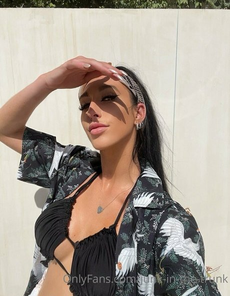 elleventures adult actress img