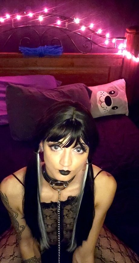 nekogoth23 nice star photos