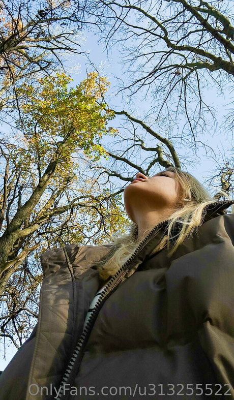 pervokursnica art star image