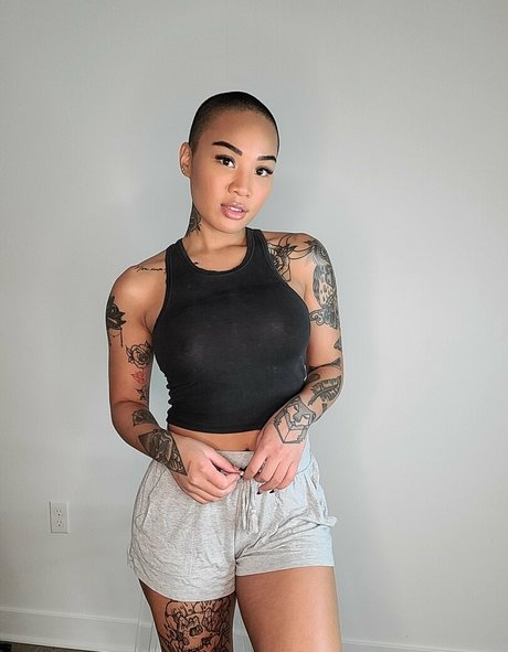 honeygold star art photo