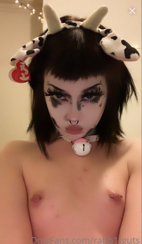 rabb1tguts pornographic star pic